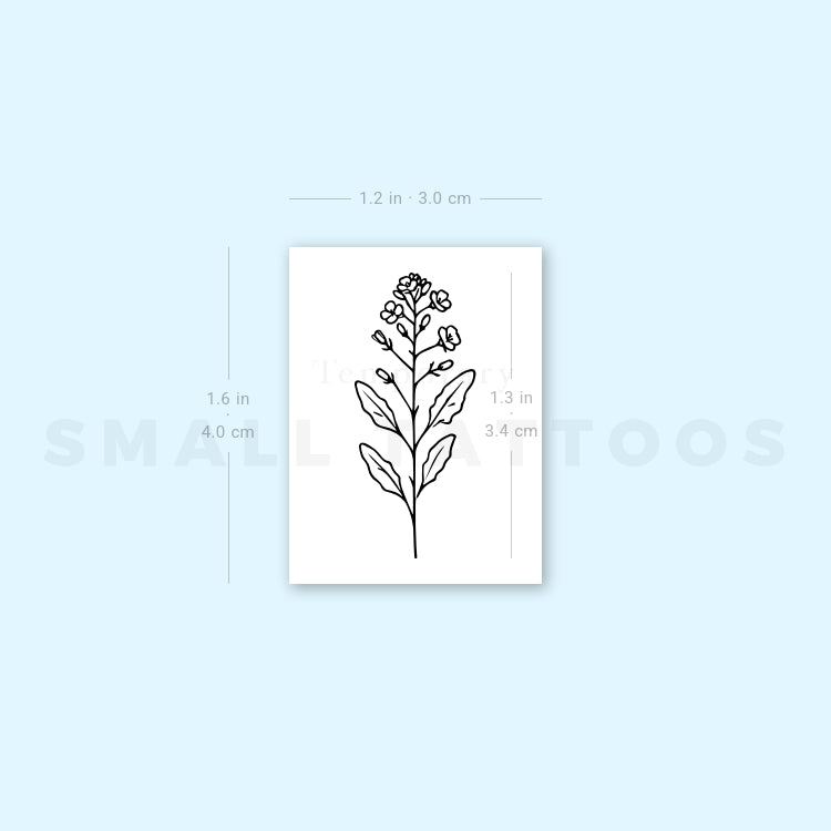 Mustard Plant Temporary Tattoo (Set of 3)