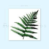 Fern Frond By Ann Lilya Temporary Tattoo (Set of 3)