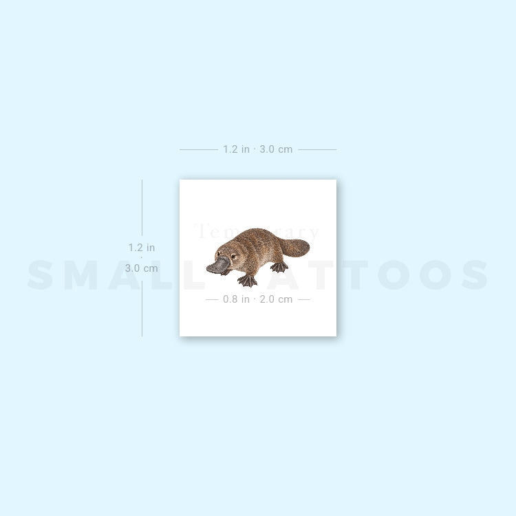 Small Platypus Temporary Tattoo (Set of 3)