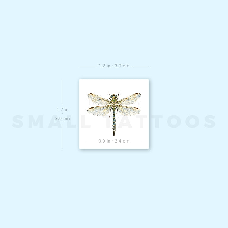 Watercolor Dragonfly Temporary Tattoo (Set of 3)