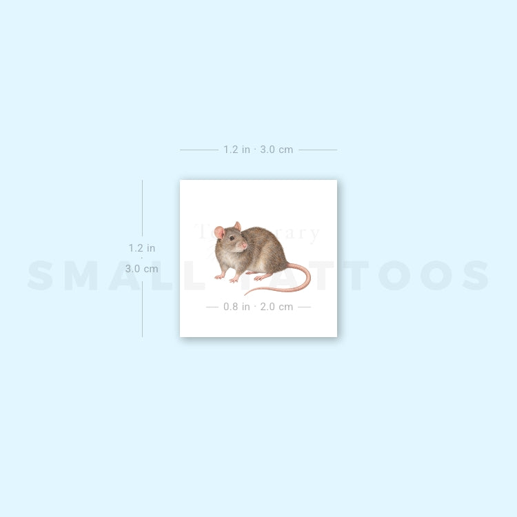 Watercolor Rat Temporary Tattoo (Set of 3)