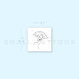 Little Hand Fan By Stefano Mazza Temporary Tattoo (Set of 3)