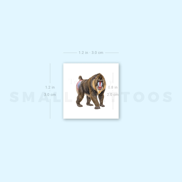 Mandrill Temporary Tattoo (Set of 3)