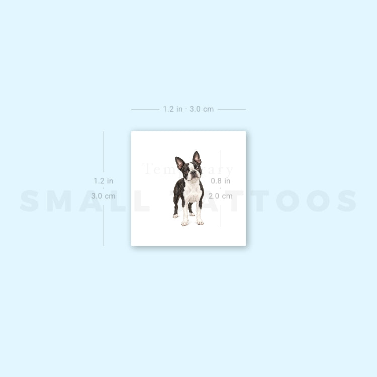Realistic Boston Terrier Temporary Tattoo (Set of 3)