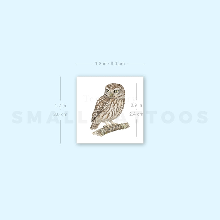 Little Owl Temporary Tattoo (Set of 3)