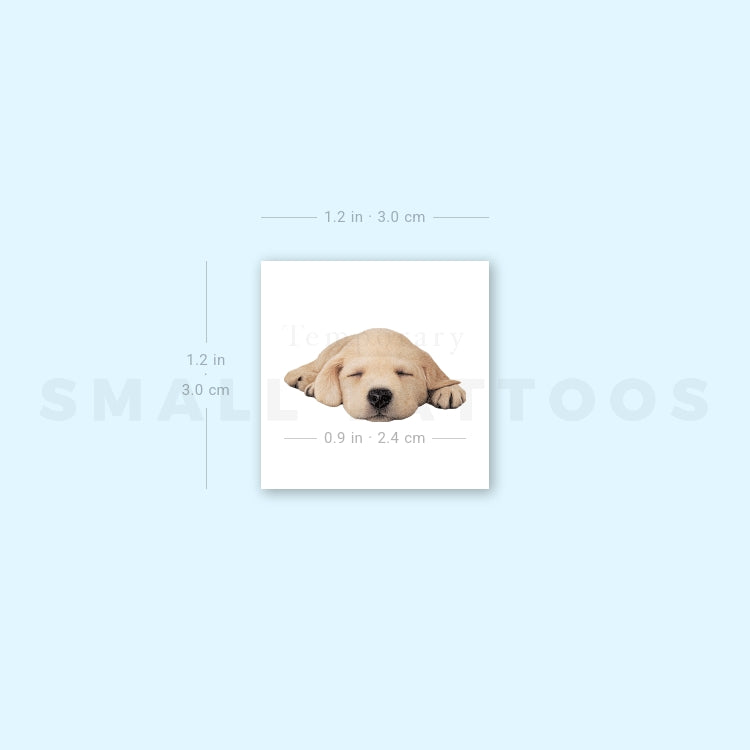 Sleeping Labrador Retriever Temporary Tattoo (Set of 3)
