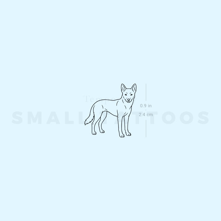 Dingo Temporary Tattoo (Set of 3)