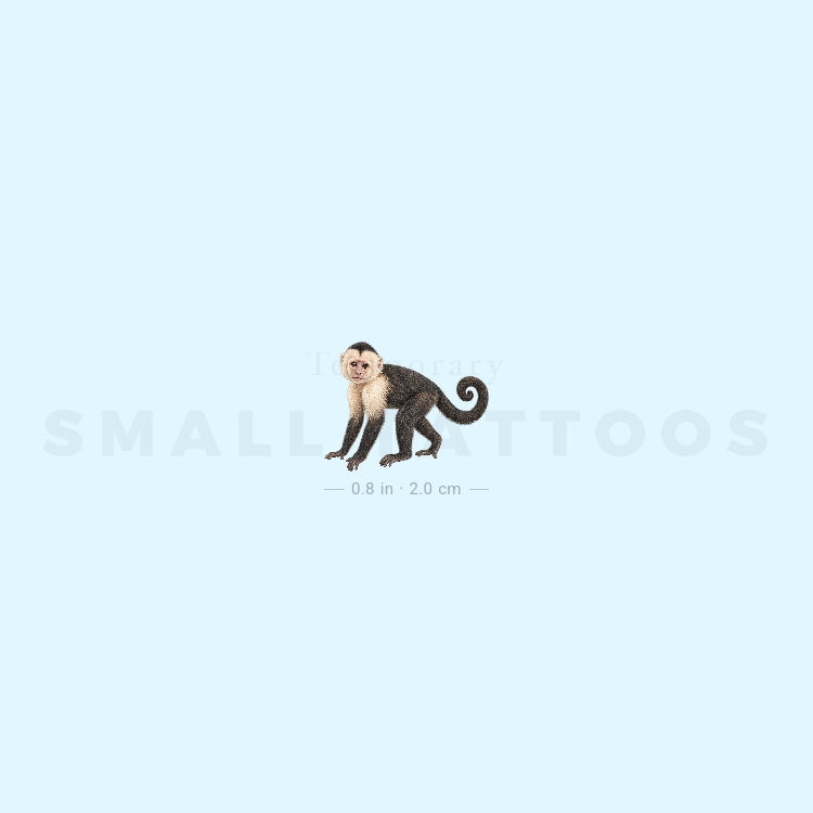 Capuchin Monkey Temporary Tattoo (Set of 3)
