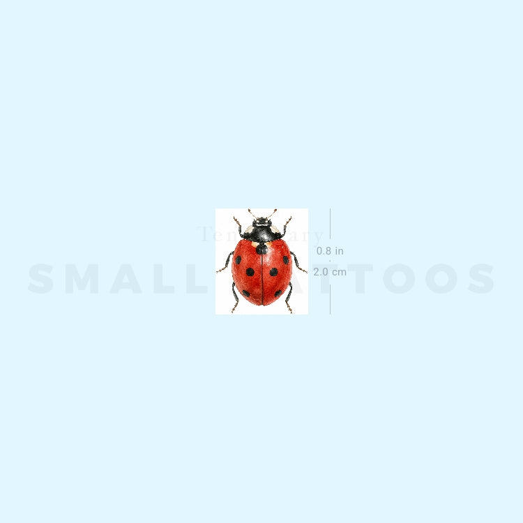 Watercolor Ladybug Temporary Tattoo (Set of 3)