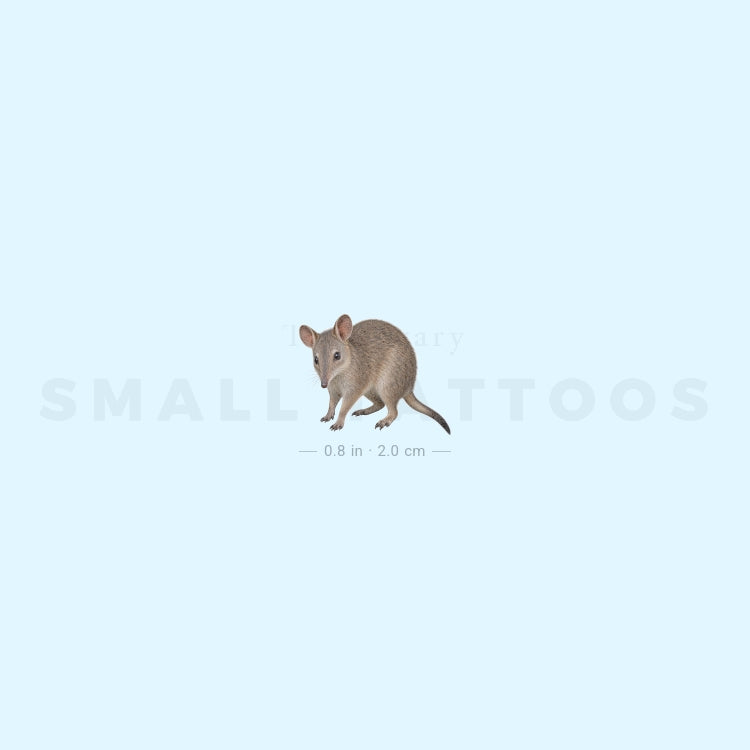 Bandicoot Temporary Tattoo (Set of 3)