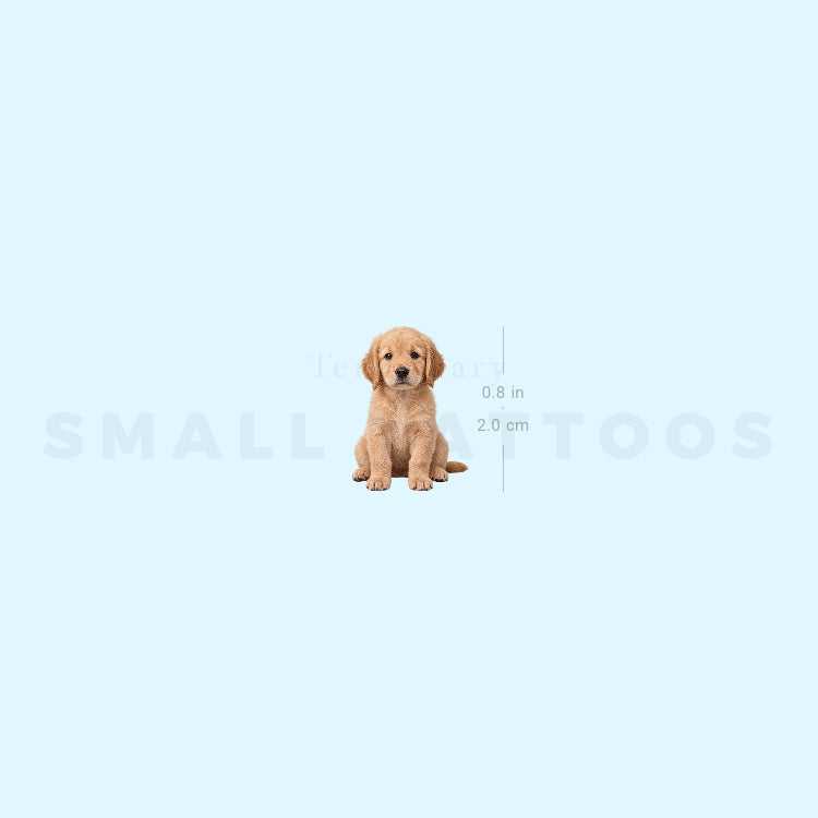 Seated Golden Retriever Puppy Temporary Tattoo (Set of 3)