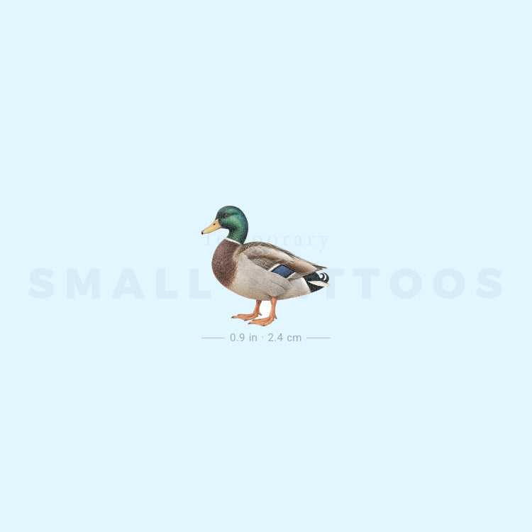Mallard Temporary Tattoo (Set of 3)