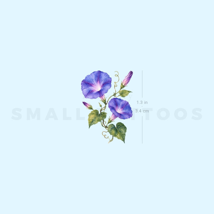 Morning Glory Temporary Tattoo (Set of 3)