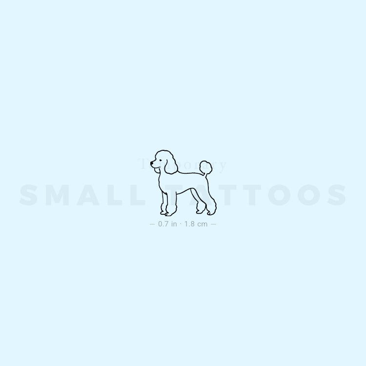 Tatuaje temporal de caniche pequeño (juego de 3)