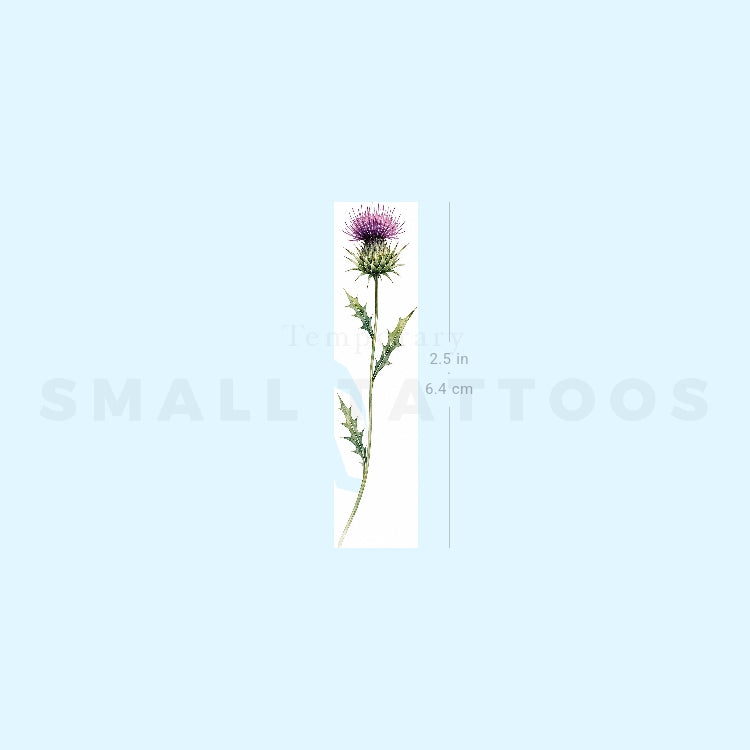 Watercolor Thistle Temporary Tattoo (Set of 3)