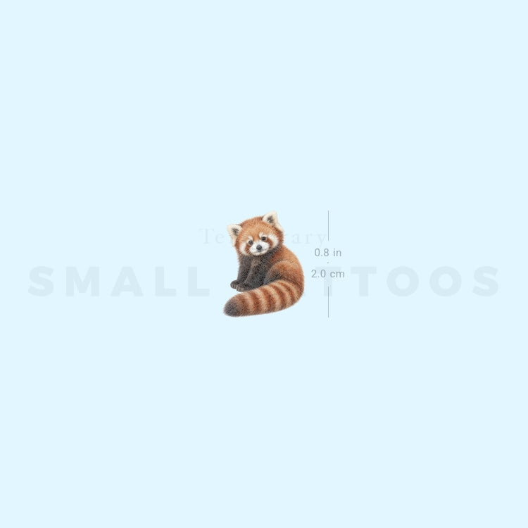 Baby Red Panda Temporary Tattoo (Set of 3)