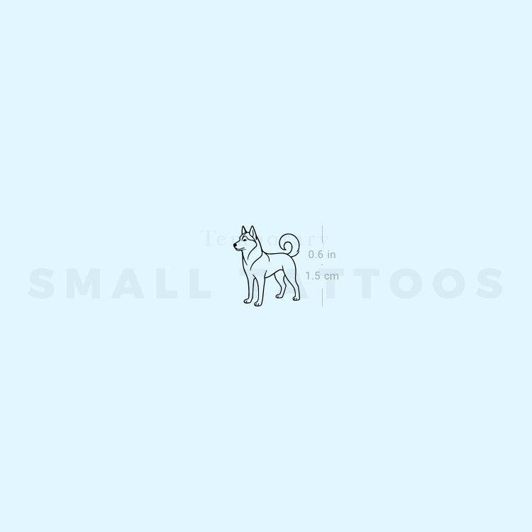 Tatuaje temporal de husky siberiano (juego de 3)