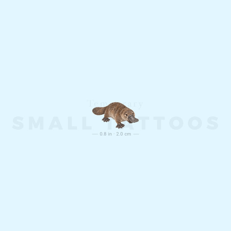 Small Platypus Temporary Tattoo (Set of 3)
