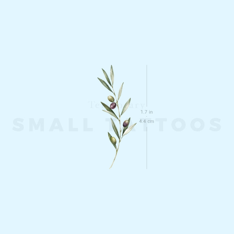 Watercolor Olive Branch Temporary Tattoo (Set of 3)