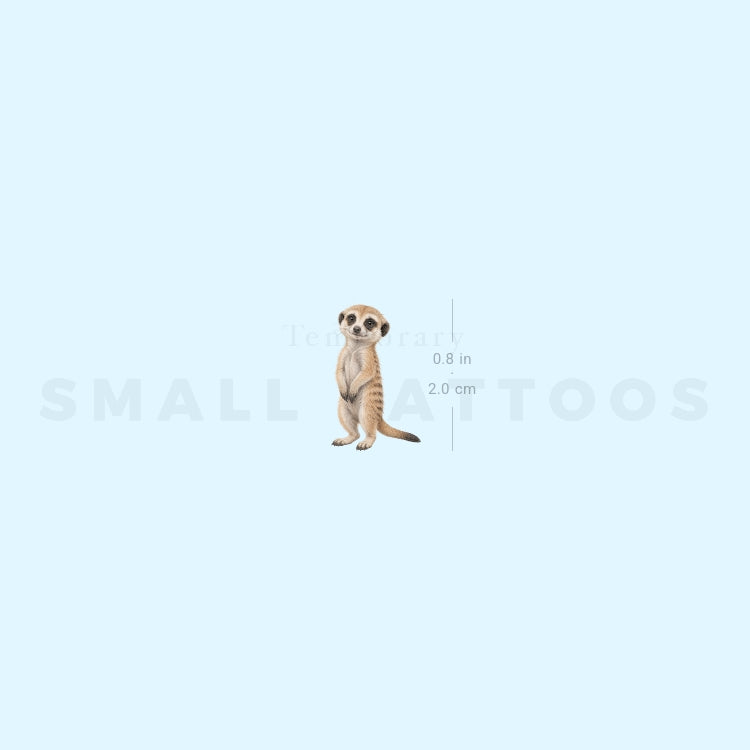 Baby Meerkat Temporary Tattoo (Set of 3)