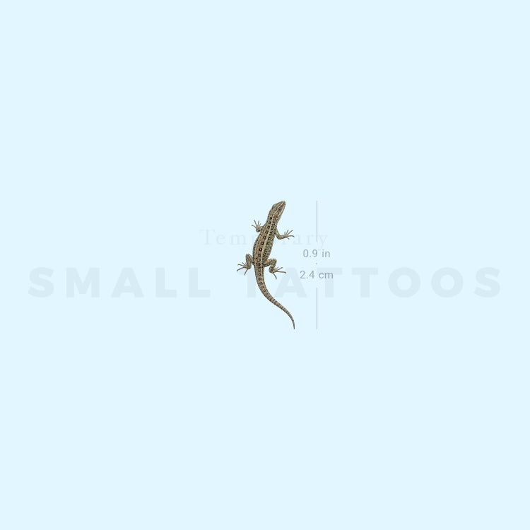 Lizard Temporary Tattoo (Set of 3)