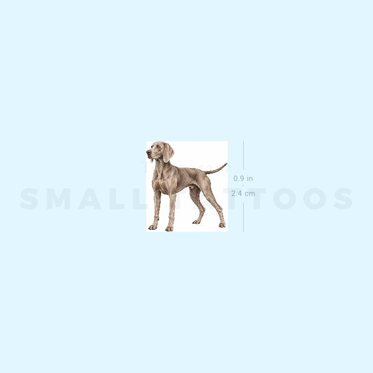Weimaraner Temporary Tattoo (Set of 3)