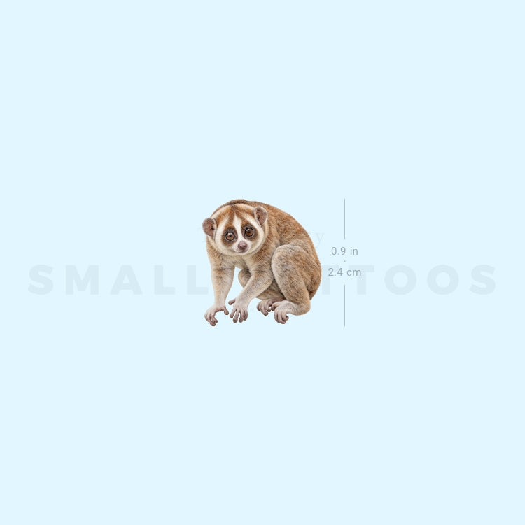 Slow Loris Temporary Tattoo (Set of 3)