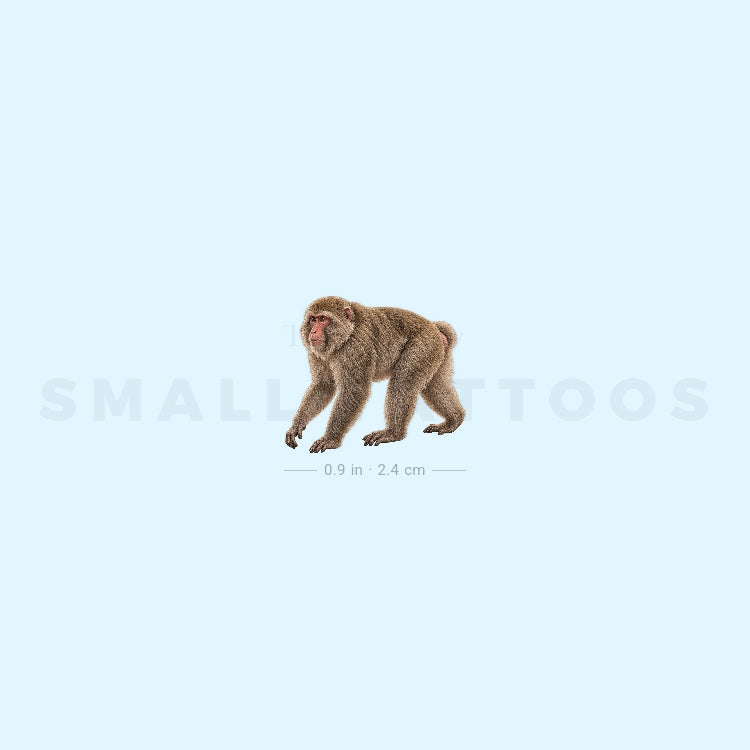 Macaque Temporary Tattoo (Set of 3)