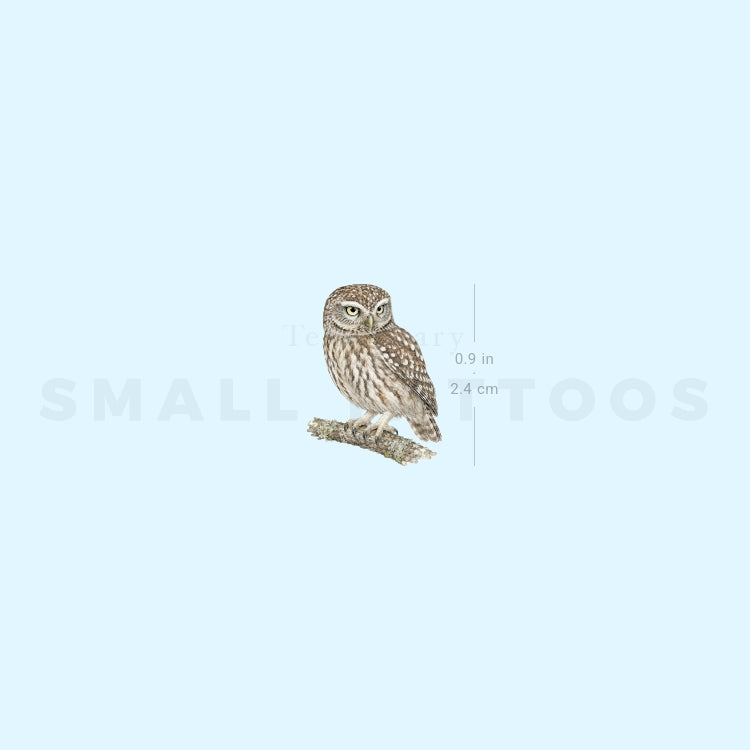 Little Owl Temporary Tattoo (Set of 3)