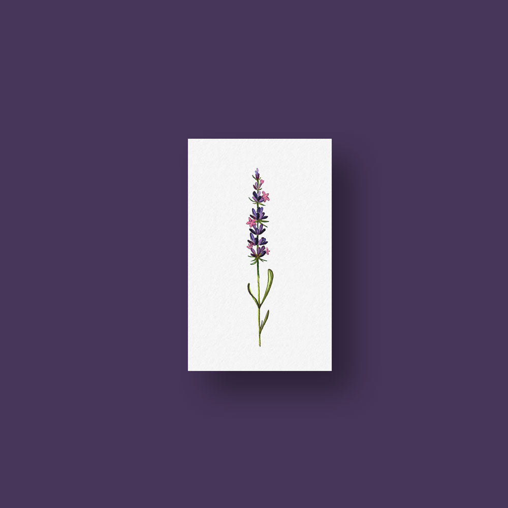 Lavender Temporary Tattoo By Lena Fedchenko (Set of 3)