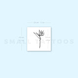 Strelitzia Bird Of Paradise Temporary Tattoo (Set of 3)