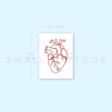 Red Ink Anatomical Heart Outline Temporary Tattoo (Set of 3)