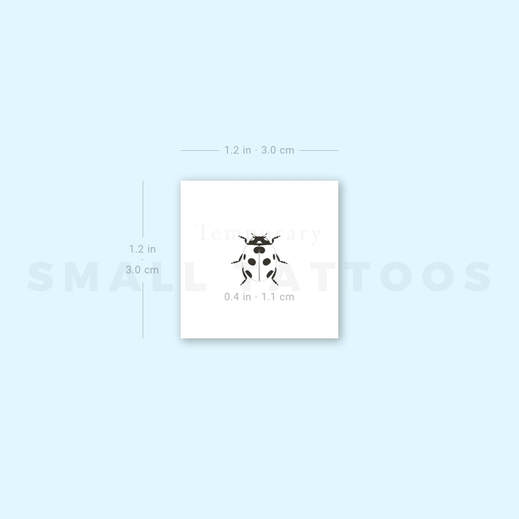 Tatuaje temporal minimalista de mariquita (juego de 3)