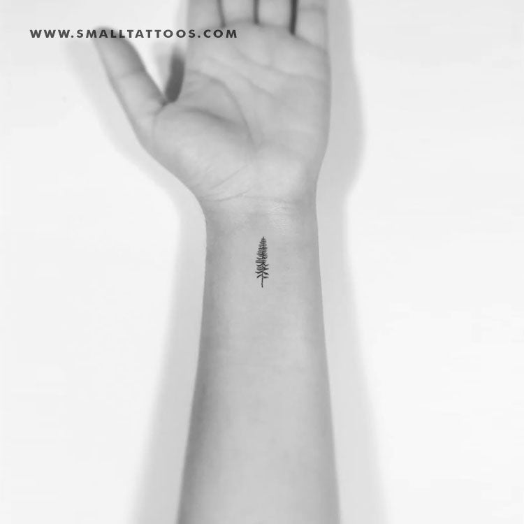 Tatuaje temporal de conífera de pino (juego de 3)