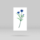Cornflower Temporary Tattoo by Zihee (Set of 3)