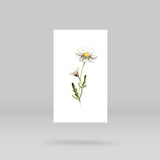 Daisy Temporary Tattoo By Lena Fedchenko (Set of 3)