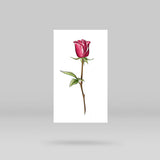 Three Roses Temporary Tattoo Set by Mini Lau (Set of 9)