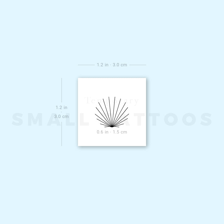 Tatuaje temporal de concha minimalista diminuta - Juego de 3