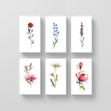 Lena Fedchenko Floral Set Nº3 (Set of 12)