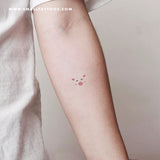 Pig Face Temporary Tattoo (Set of 3)