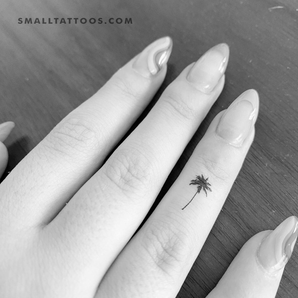 Tatuaje temporal de palmera pequeña (juego de 3)