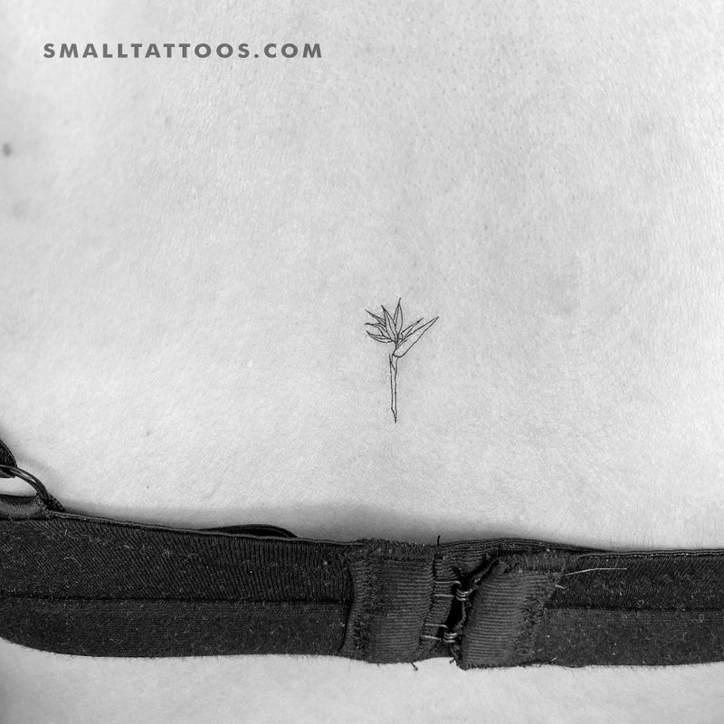 Little Plant tattoo by Pissaro Tattoo | Post 15429