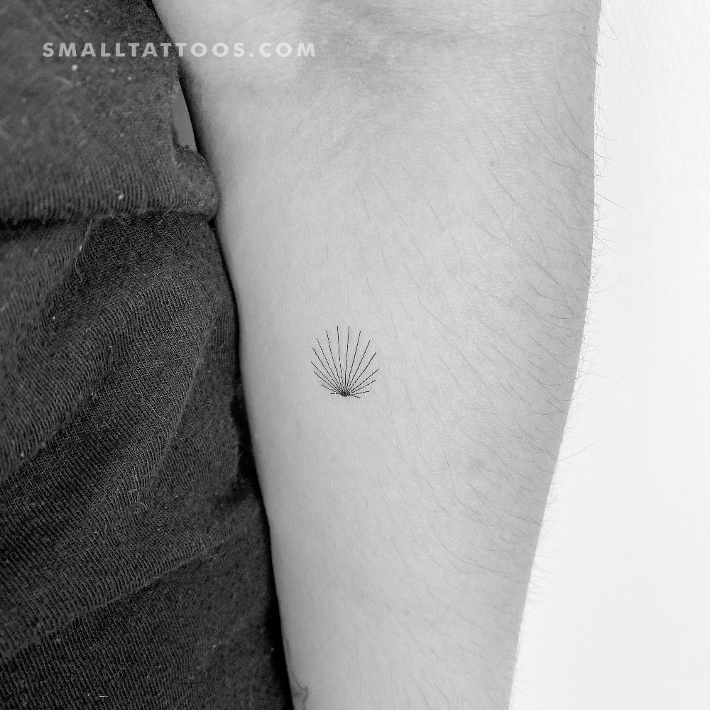 Tatuaje temporal de concha minimalista diminuta - Juego de 3