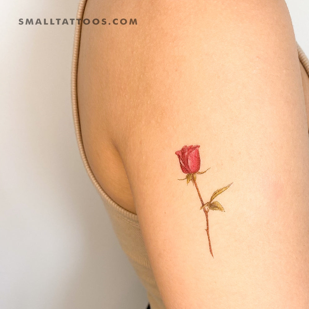 Tatuaje temporal de rosa granate de Mini Lau (juego de 3)