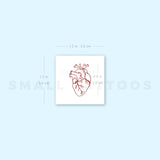 Small Red Anatomical Heart Temporary Tattoo (Set of 3)