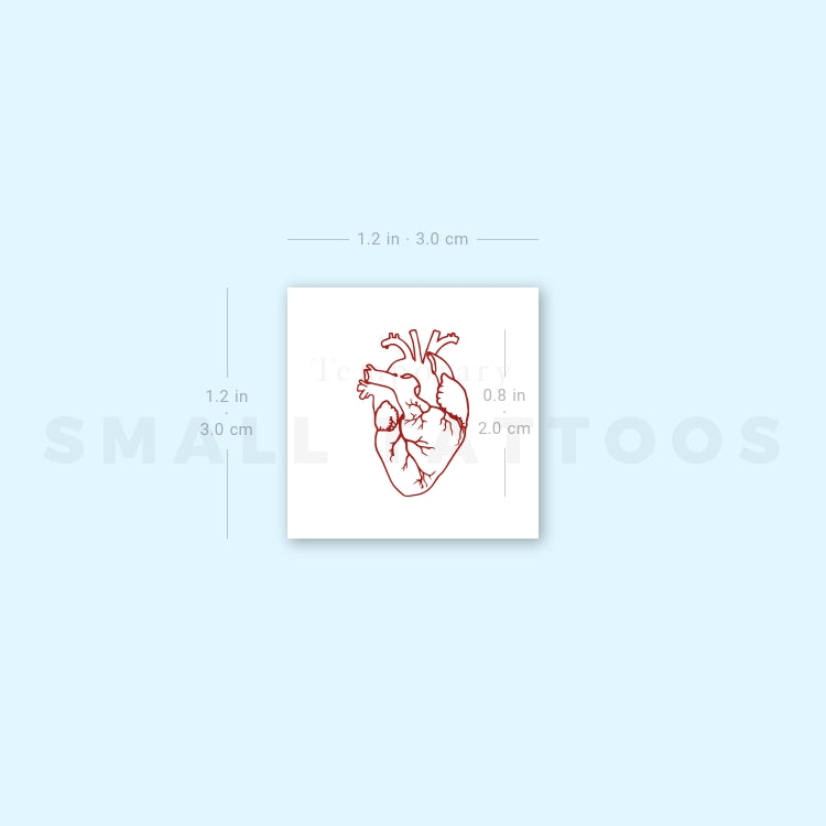 Small Red Anatomical Heart Temporary Tattoo (Set of 3)