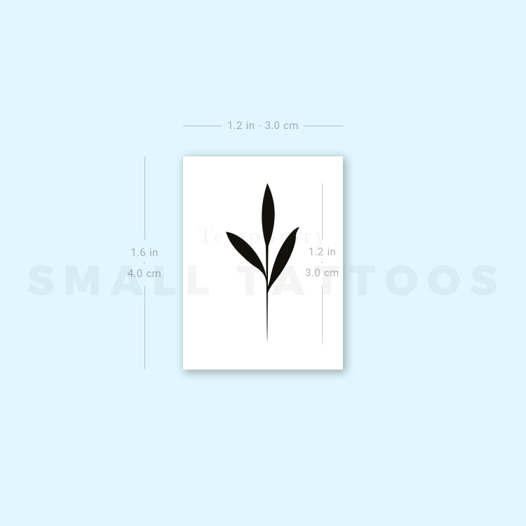 Sprout Temporary Tattoo (Set of 3)