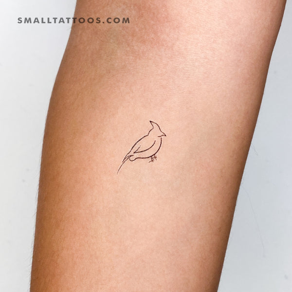 Micro-realistic robin tattoo located on the inner