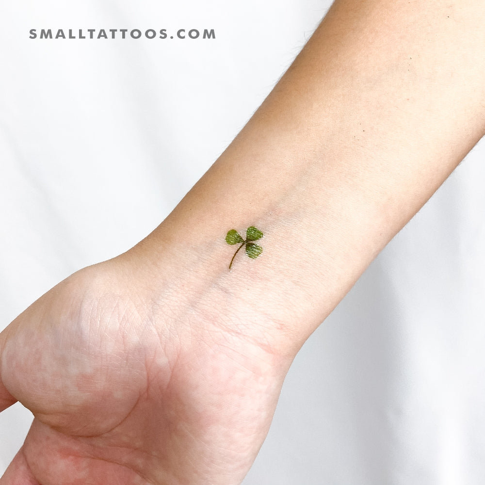 Three Leaf Clover Temporary Tattoo by Zihee (Set of 3) Small Tattoos