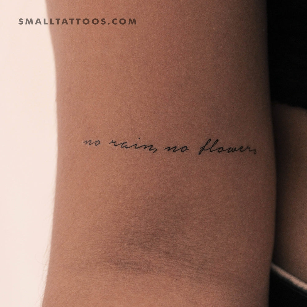 Tatuaje temporal con fuente manuscrita "Sin lluvia, sin flores" (juego de 3)